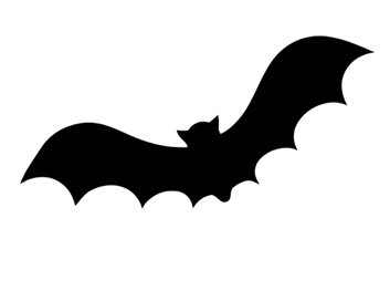 Amazon.com: Pack of 3 Halloween Bat Stencils, 16x20, 11x14 and 8x10 Made  from 4 Ply Matboard